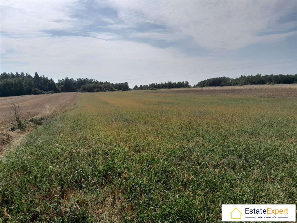 Działka budowlana na sprzedaż Skrzelczyce  8 100m2 Foto 1