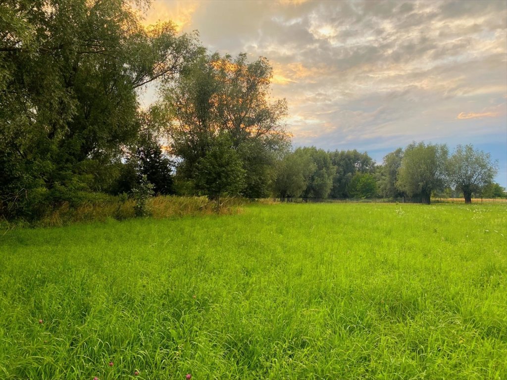 Działka budowlana na sprzedaż Cząstków Mazowiecki, Cząstków Mazowiecki  16 650m2 Foto 1