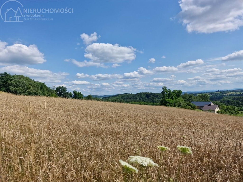 Działka budowlana na sprzedaż Błażkowa  2 200m2 Foto 2