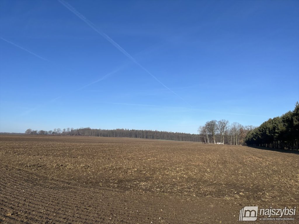 Działka rolna 31 300 m2 z gazem i wodą w Żarnowie Żarnowo  31 300m2 Foto 1