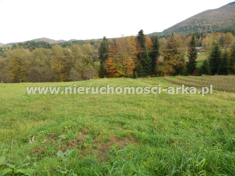 Działka budowlana na sprzedaż Kasina Wielka 1 500m2 Foto 1 Działka budowlana na sprzedaż Kasina Wielka 1 500m2 Foto 1