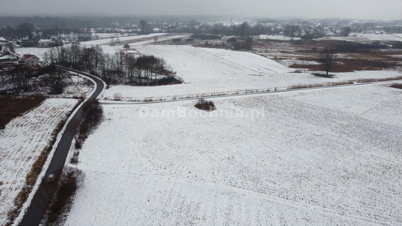 Działka rolna na sprzedaż Dębina  8 902m2 Foto 9