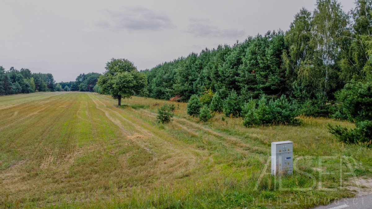 Działka rekreacyjna na sprzedaż Michałowo  4 818m2 Foto 12