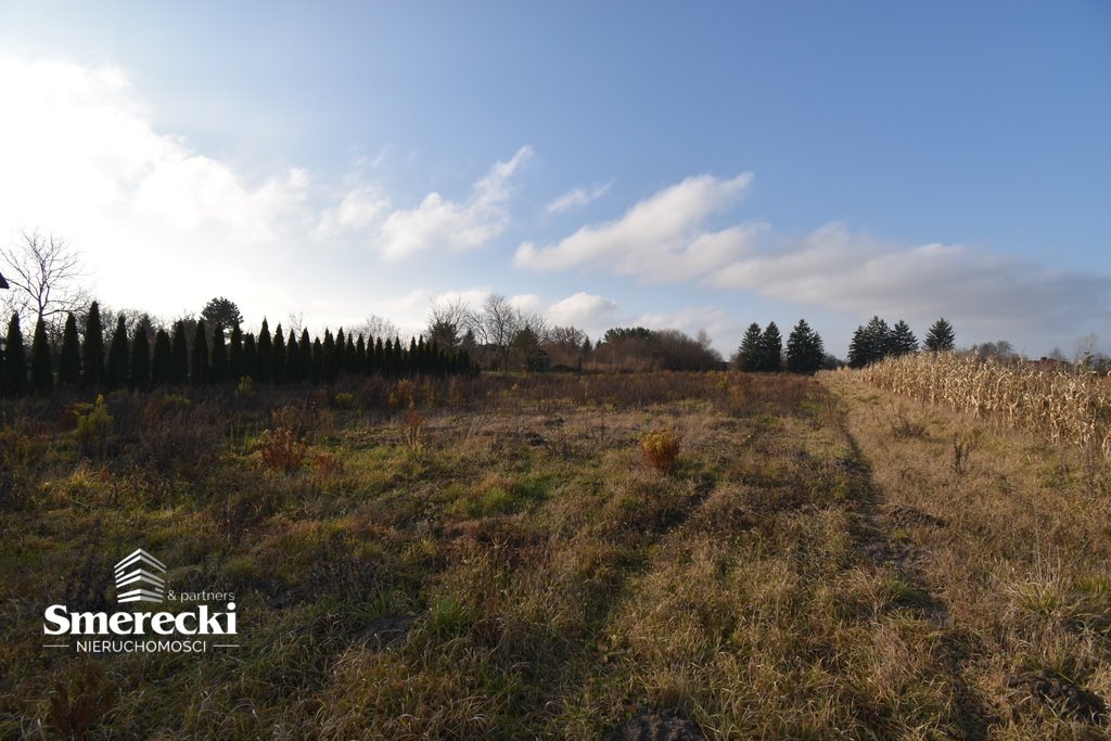 Działka budowlana na sprzedaż Okszów, Sosnowa  3 966m2 Foto 6