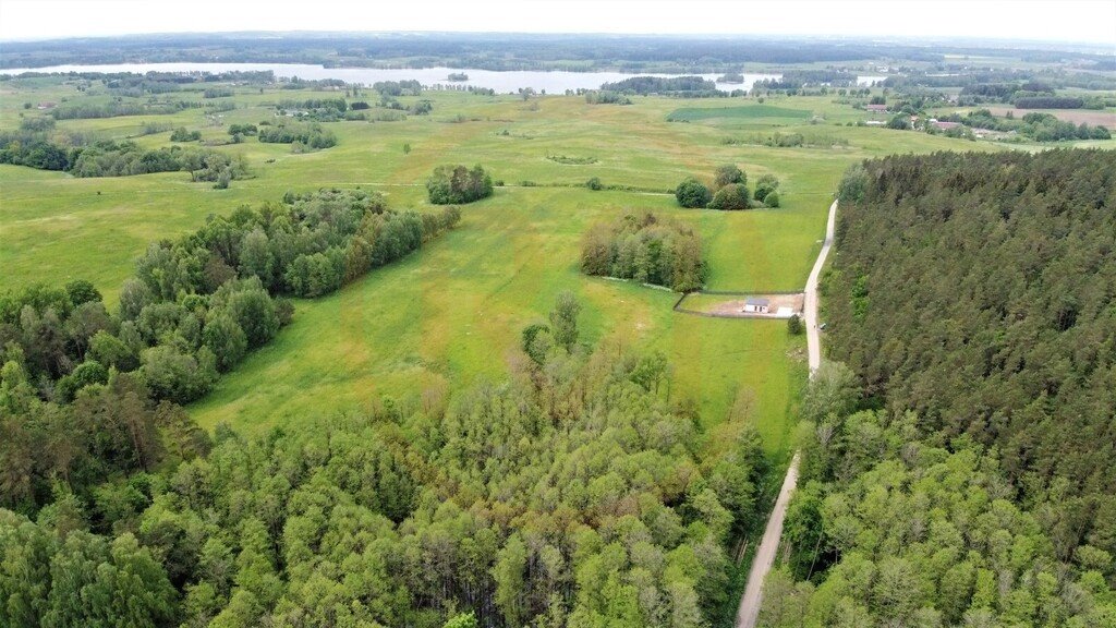 Działka rolna na sprzedaż Dobra Wola  3 303m2 Foto 2