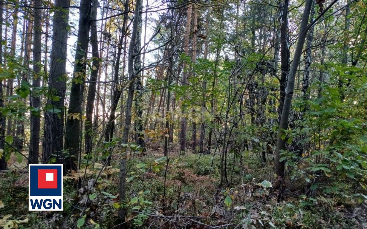 Działka leśna na sprzedaż Myszków, Nowa Wieś  1 959m2 Foto 10