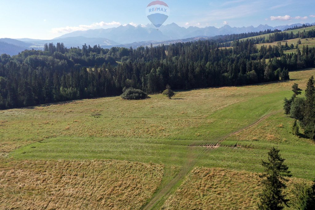 Działka rolna na sprzedaż Białka Tatrzańska  4 151m2 Foto 10