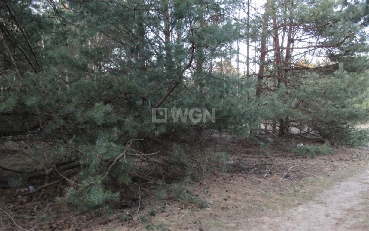 Działka budowlana na sprzedaż Poraj, Jastrząb  8 643m2 Foto 1