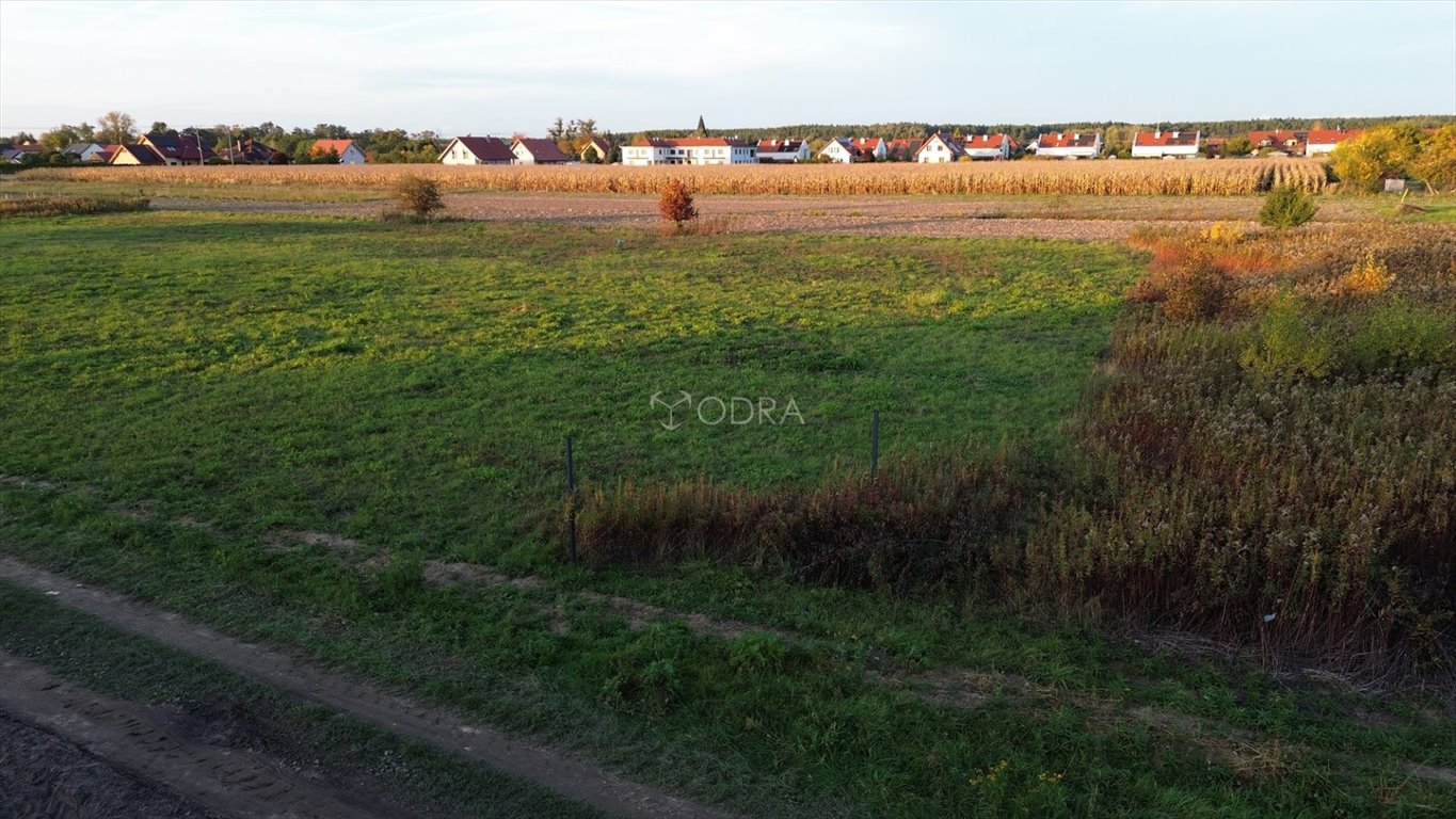 Działka budowlana 1307 m² w Miłoszycach z MPZP - polecam! Miłoszyce  1 307m2 Foto 1