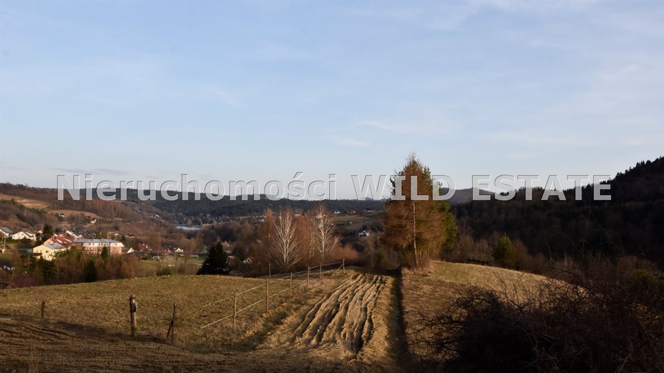 Działka rolna z widokiem na jezioro Solińskie, 3 940 m² Solina, Rybne  3 940m2 Foto 1