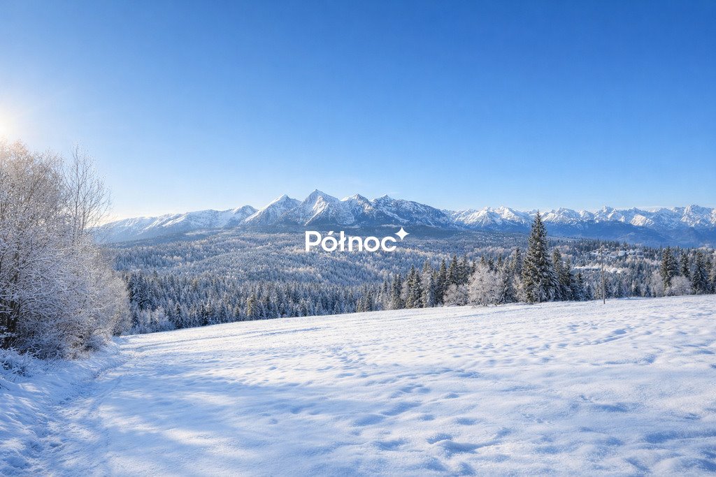 Działka rolna z widokiem na Tatry, 2445 m², Rzepiska Rzepiska  2 445m2 Foto 1