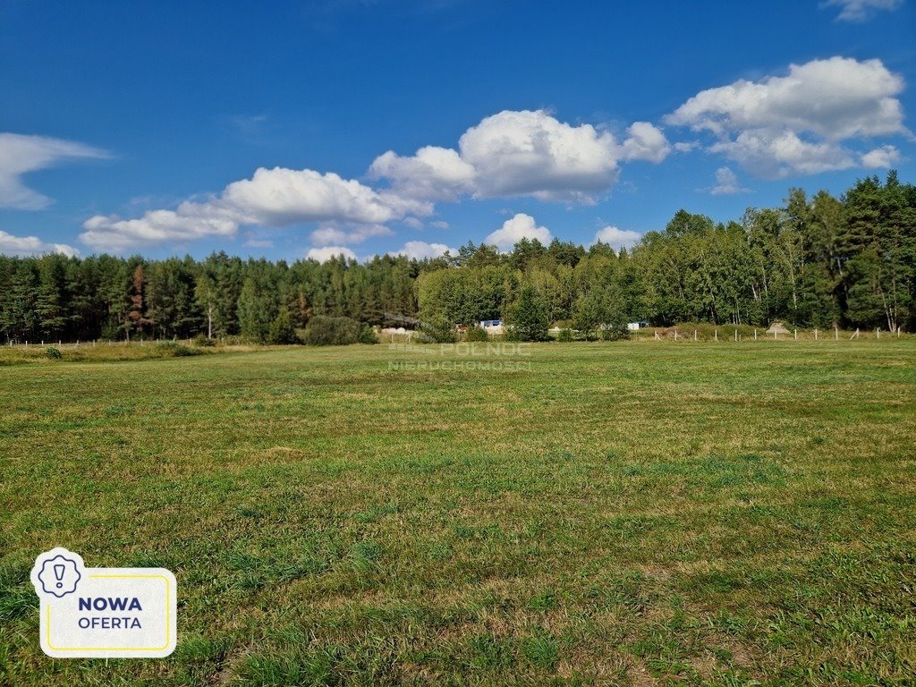 Działka rolna na sprzedaż Krynickie  8 022m2 Foto 1