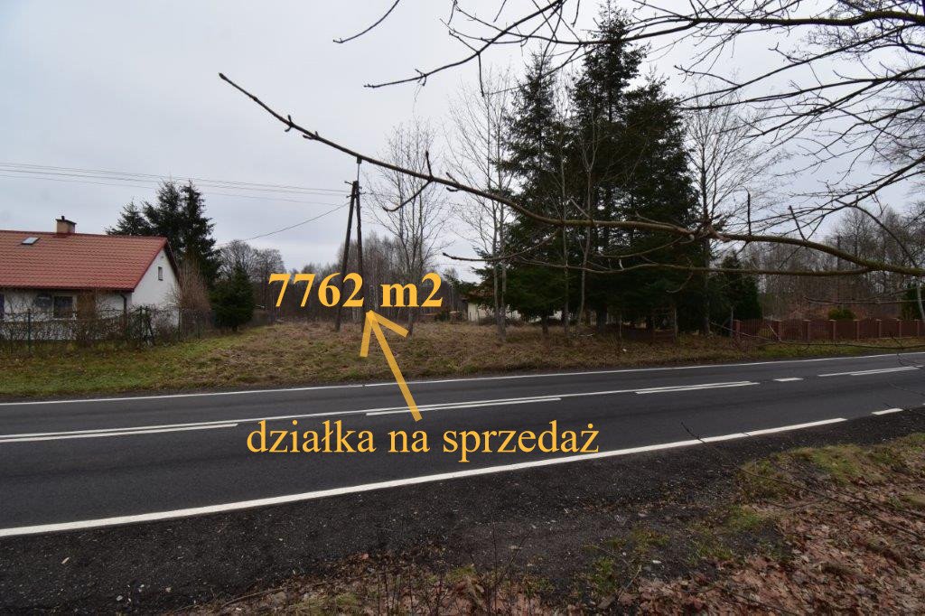 Działka budowlana na sprzedaż Szczeglino  7 762m2 Foto 7