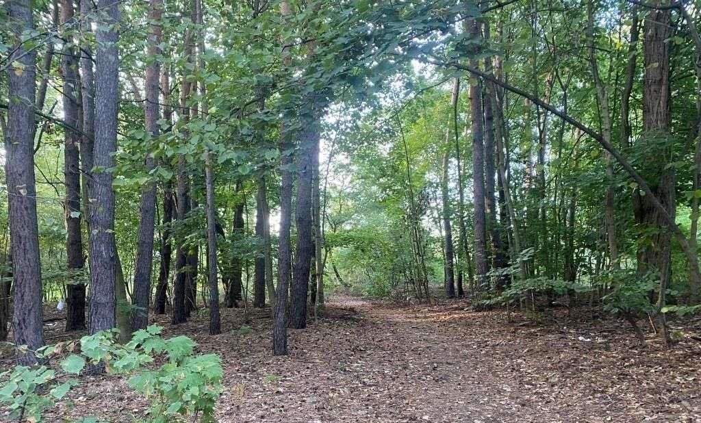 Działka budowlana na sprzedaż Marki, Zofii Nałkowskiej  941m2 Foto 7