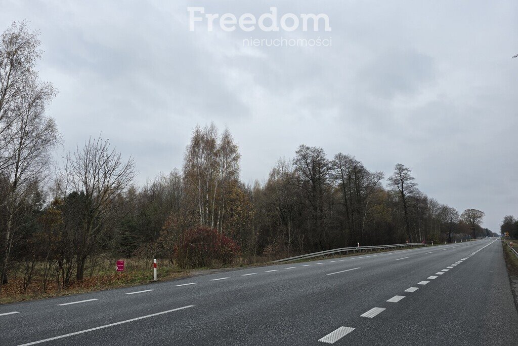 Działka inwestycyjna na sprzedaż Horbów-Kolonia  49 600m2 Foto 8