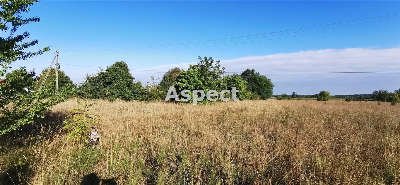 Działka inna na sprzedaż Czarna  5 400m2 Foto 1