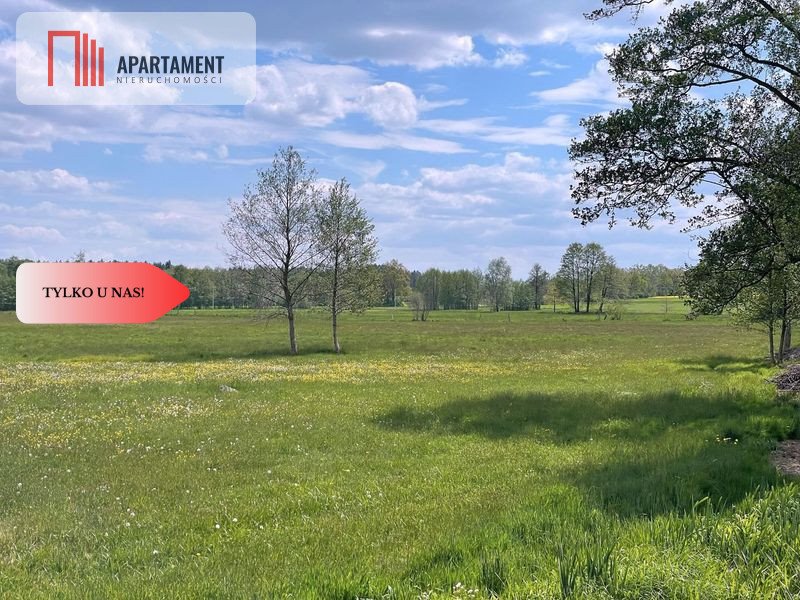 Działka budowlana na sprzedaż Niesułowice  30 000m2 Foto 1