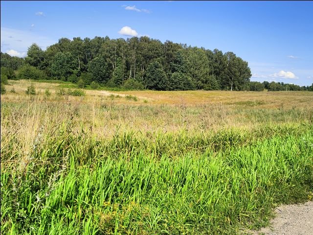 Działka leśna na sprzedaż Wołowno  19 700m2 Foto 1