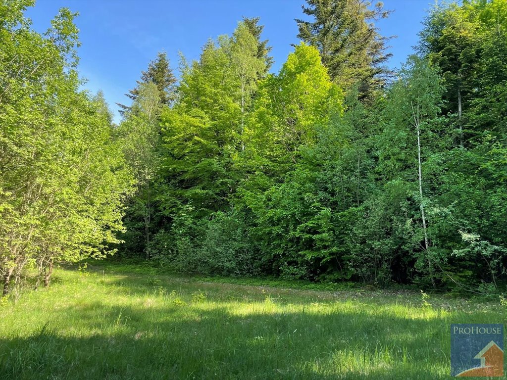 Działka rolno-leśna 1,83 ha z dostępem do drogi w Nowym Rybiu Nowe Rybie  18 300m2 Foto 1