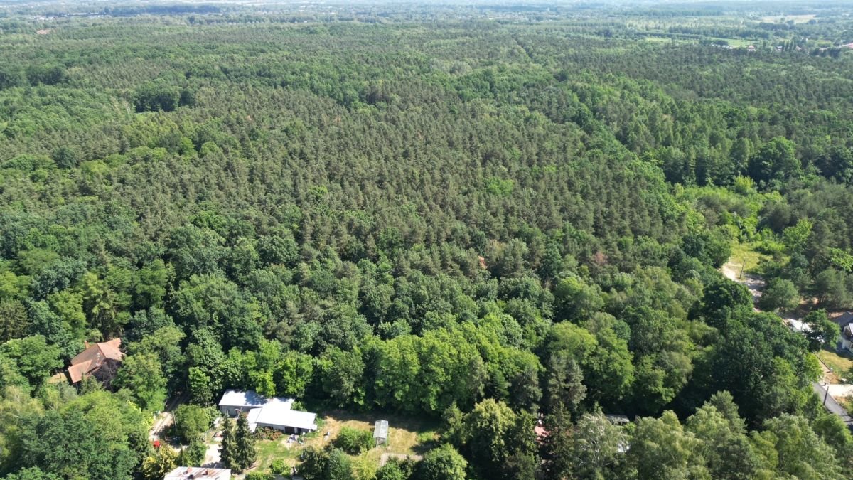 Działka budowlana na sprzedaż Złotokłos, Warszawska  2 800m2 Foto 1