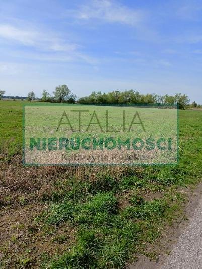 Działka 4730 m² z możliwością podziału i warunkami zabudowy - polecam! Basin  4 730m2 Foto 1