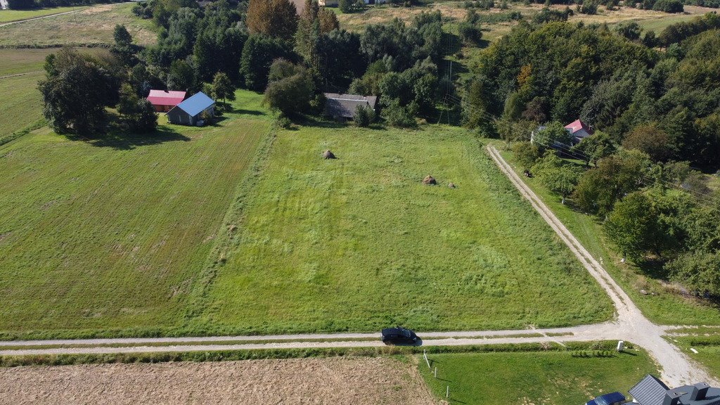 Działka budowlana na sprzedaż Błędowa Tyczyńska  5 000m2 Foto 5