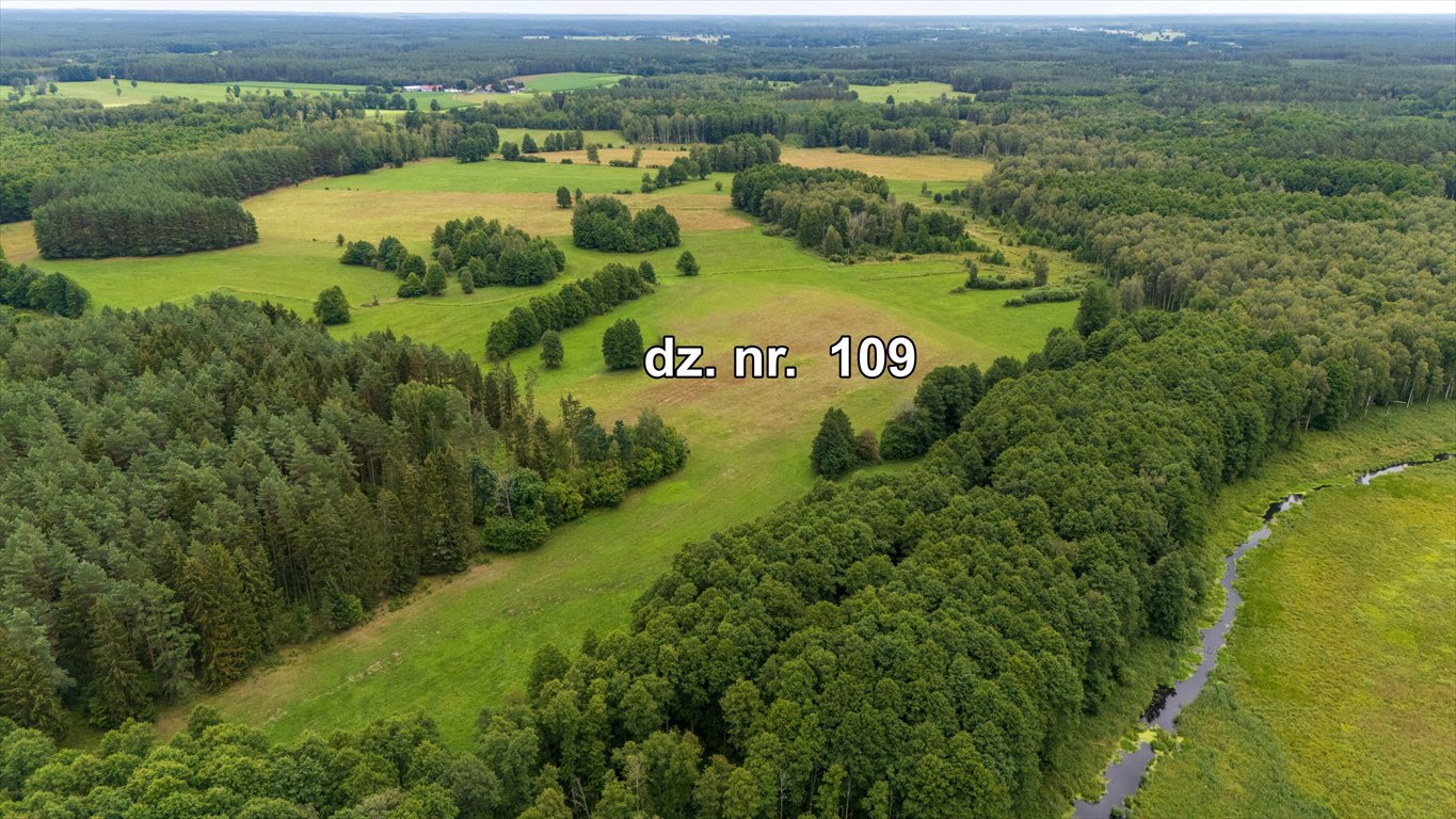 Działka rolna na sprzedaż Rekownica  120 300m2 Foto 8