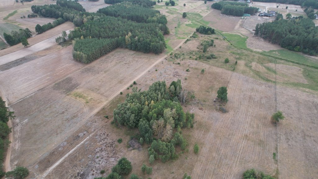 Działka rolna na sprzedaż Olszewka  3 000m2 Foto 7