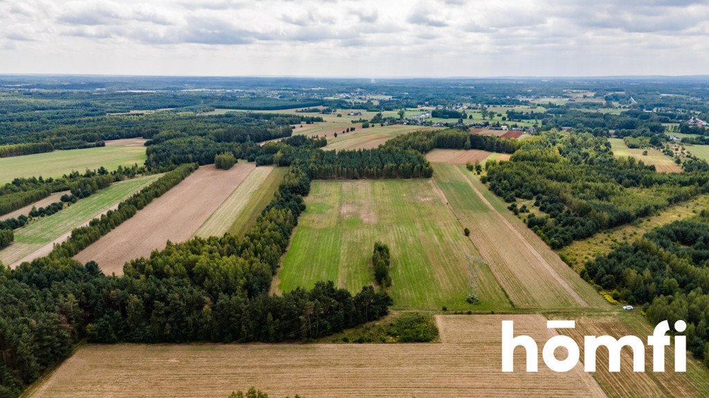 Działka rolna na sprzedaż Zdziechów  45 600m2 Foto 6