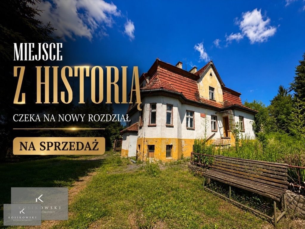 Unikalny dom z historią, 226 m², wymaga remontu - zapraszam Wabienice  226m2 Foto 1
