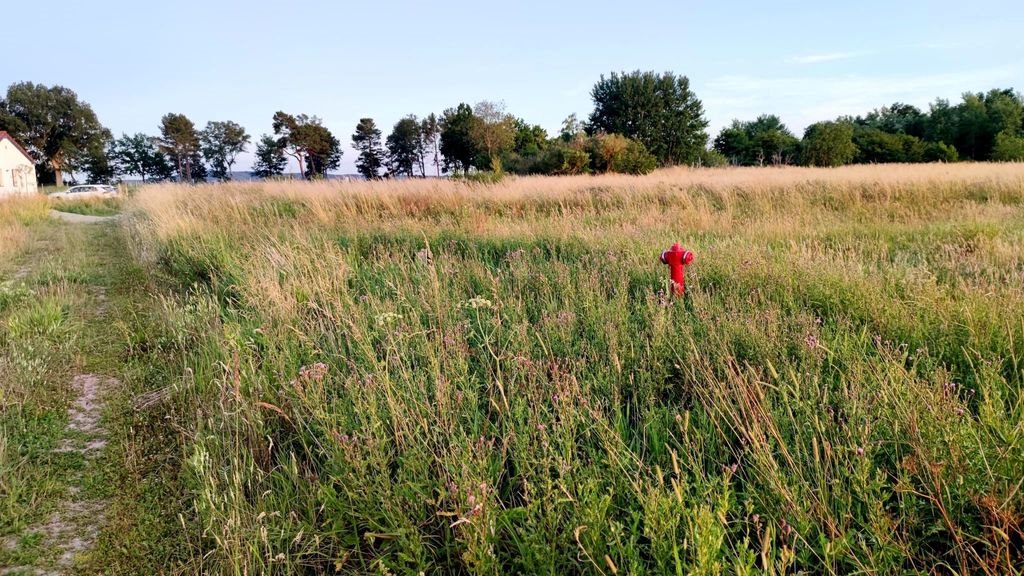 Działka inna na sprzedaż Smołdziński Las  1 668m2 Foto 7