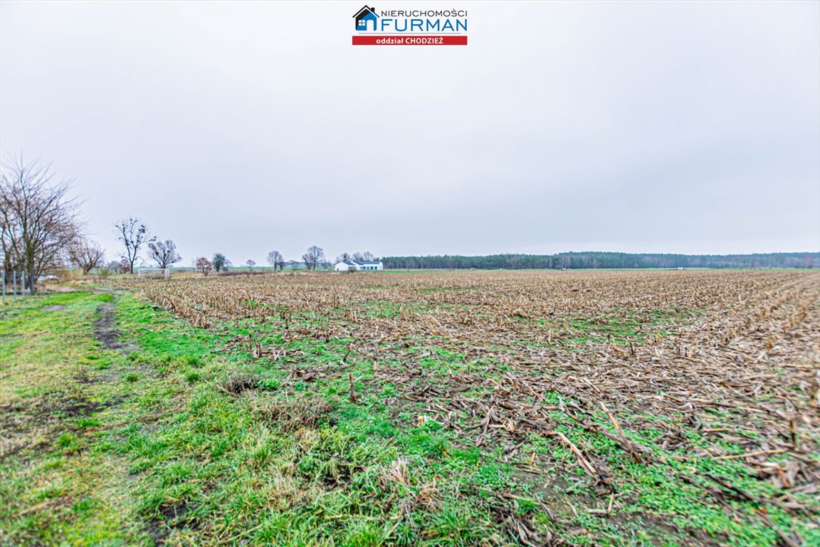 Działka budowlana na sprzedaż Boruchowo  14 300m2 Foto 2