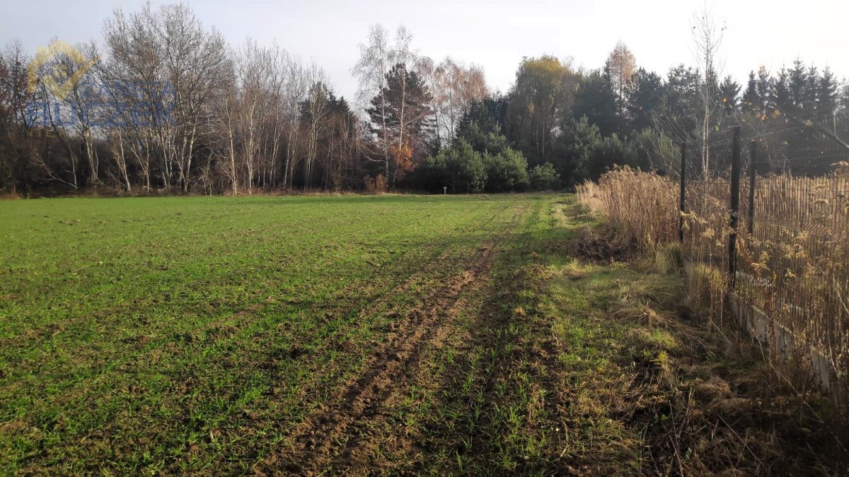 Działka budowlana na sprzedaż Lubiejew  1 000m2 Foto 8