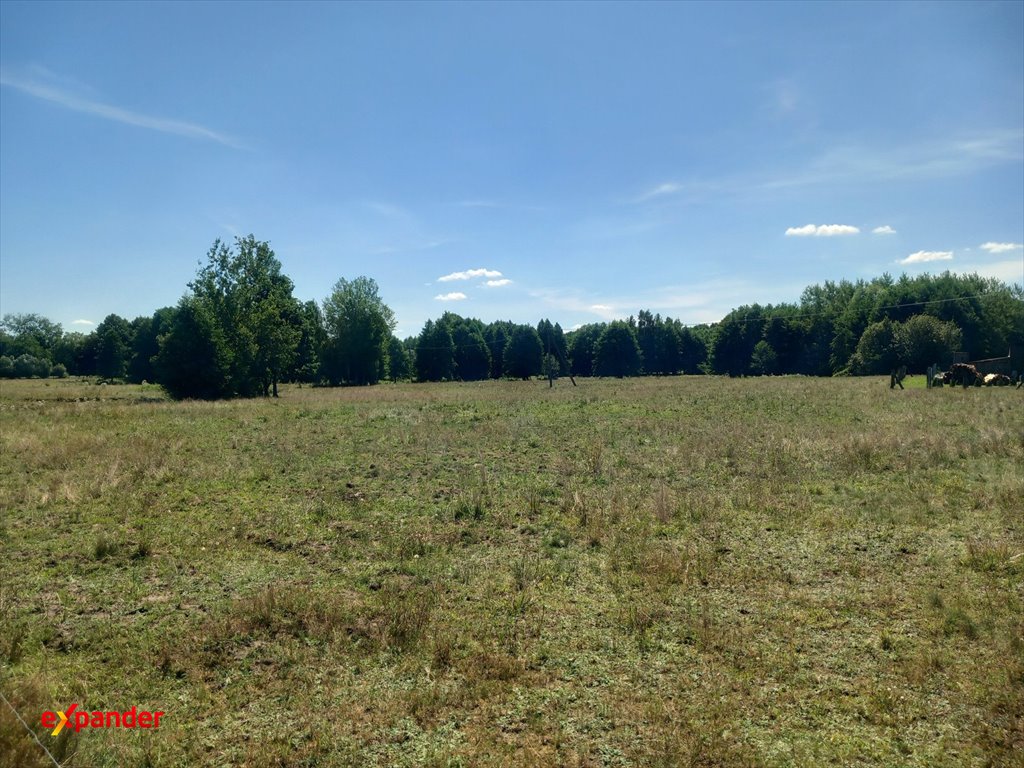 Duża działka 7,37 ha z siedliskiem i mediami w Józefowie Józefowo  73 700m2 Foto 1