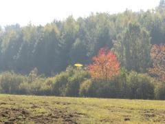 Działka inwestycyjna na sprzedaż Krępkowice  10 200m2 Foto 5