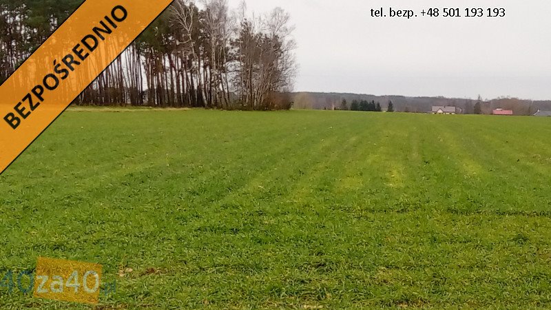 Działka inna na sprzedaż Proboszczewice  40 000m2 Foto 1