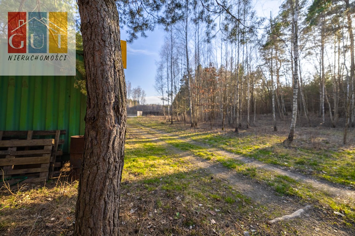 Działka budowlana na sprzedaż Mokiny  3 103m2 Foto 7