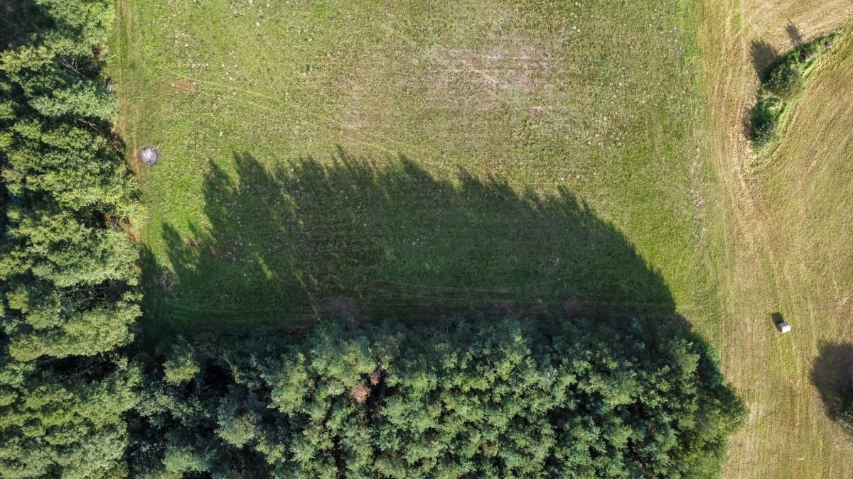 Działka budowlana na sprzedaż Stare Budy  1 017m2 Foto 5