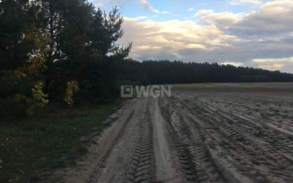 Działka rolna na sprzedaż Lgota Murowana, Lgota Murowana  24 000m2 Foto 5