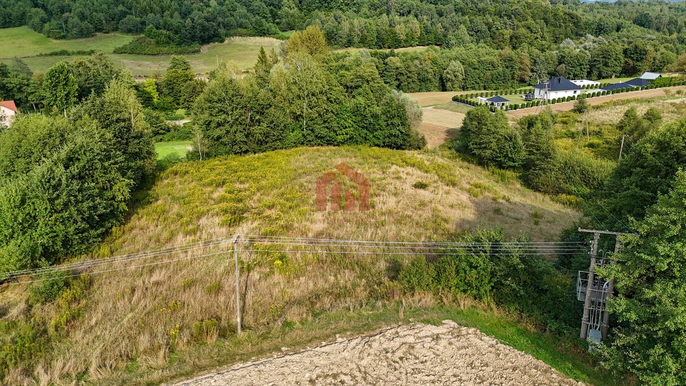 Działka budowlana na sprzedaż Niedźwiada  5 500m2 Foto 11