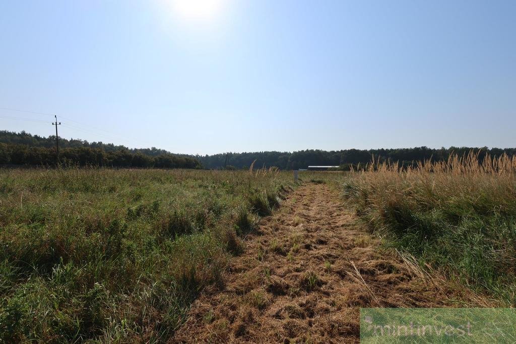 Działka inna na sprzedaż Modrzewie  3 194m2 Foto 8