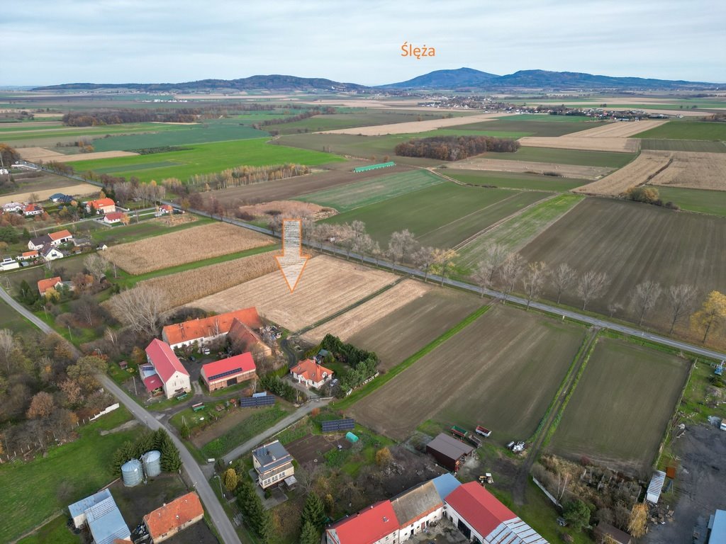Działka inwestycyjna 16 043 m² z zabudową, szybki dojazd Nowizna  16 043m2 Foto 1