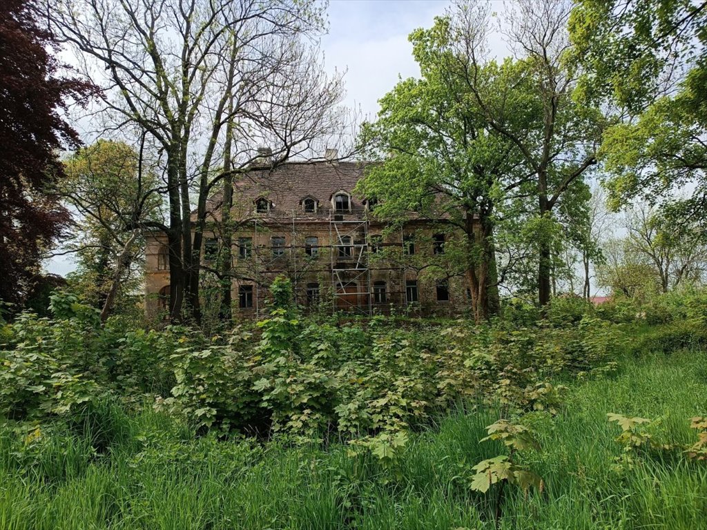 Lokal użytkowy na sprzedaż Kostrzyna  825m2 Foto 2