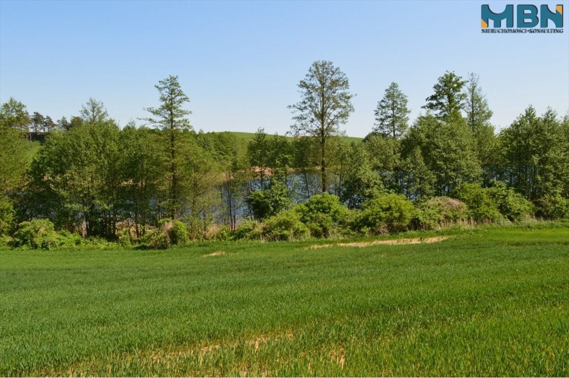 Działka inna na sprzedaż Marcinowa Wola, Marcinowa Wola  6 038m2 Foto 10