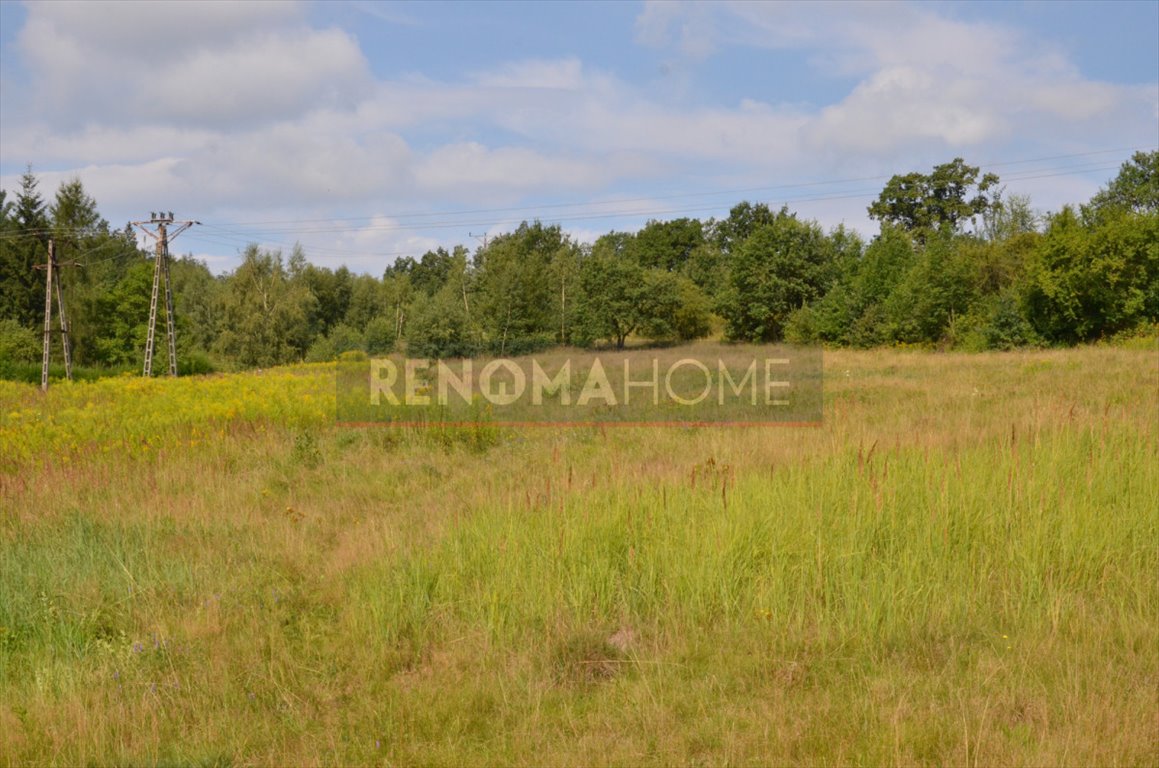 Działka przemysłowo-handlowa na sprzedaż Wałbrzych, Podgórze  5 983m2 Foto 19