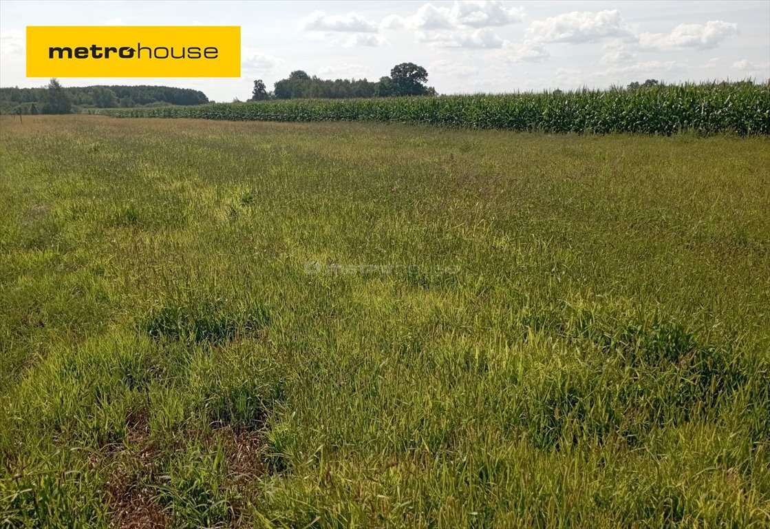 Działka inna na sprzedaż Trzepowo  1 122m2 Foto 1