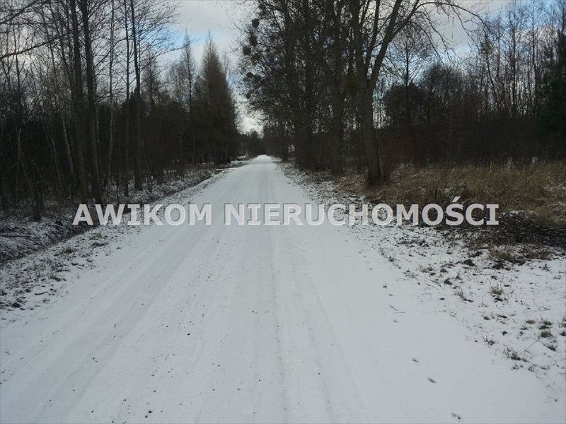 Sprzedam działkę 9 400 m² w Antoniewie, blisko lasu Wiskitki, Antoniew  9 400m2 Foto 1