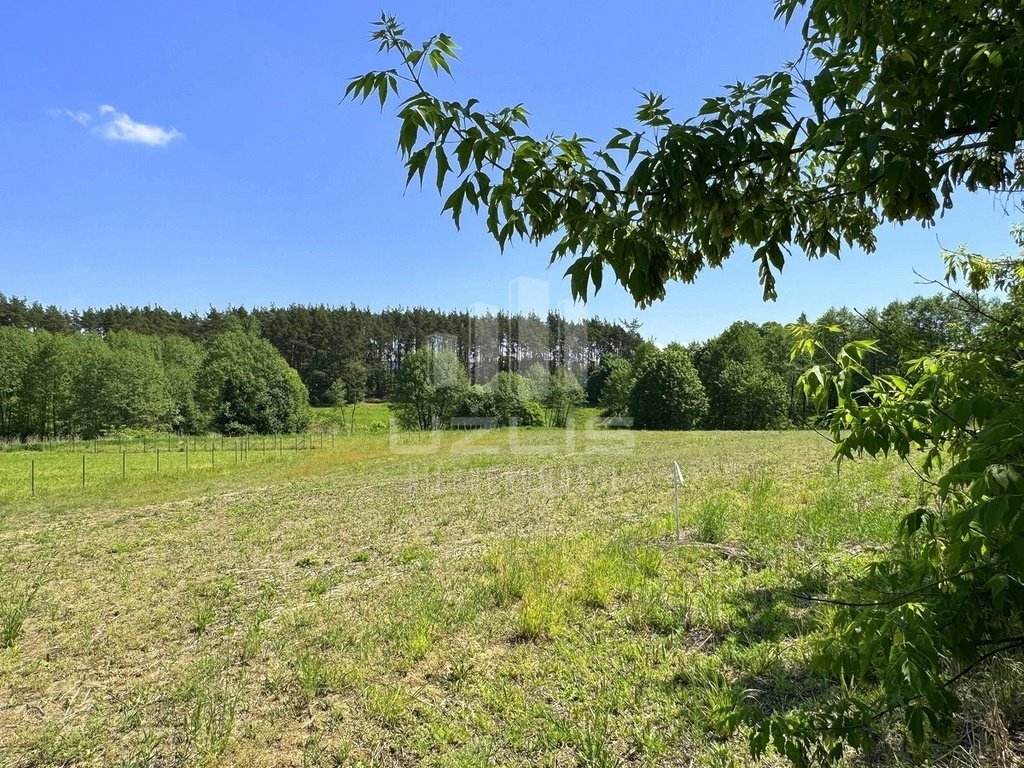 Działka budowlana na sprzedaż Zblewo  2 273m2 Foto 11