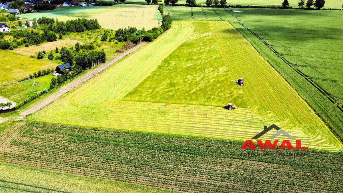 Działka budowlana na sprzedaż Połczyno, Polna  800m2 Foto 6