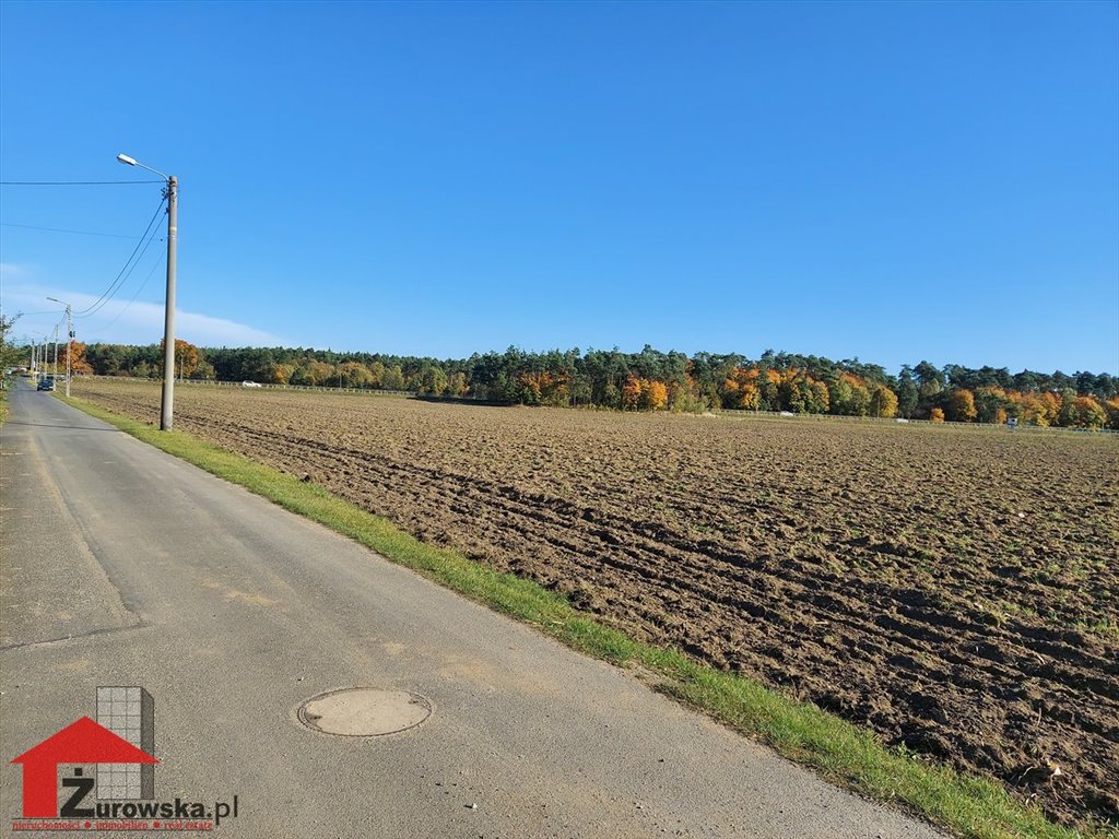 Działka inwestycyjna 6116 m² przy DK 94 - uzbrojona i atrakcyjna Sucha  6 116m2 Foto 1